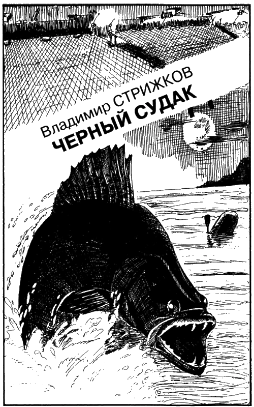 Иллюстрация к книге — Искатель, 2007 № 04 [book-illustration-5.webp]