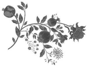 Иллюстрация к книге — Обещания и гранаты [book-illustration-1.webp]