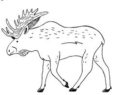 Иллюстрация к книге — Шанс на счастливый финал [book-illustration-3.webp]