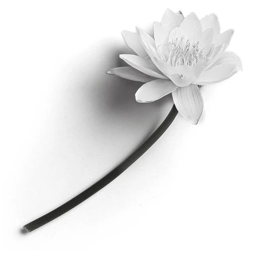 Иллюстрация к книге — Все начнется с нас [book-illustration-1.webp]