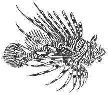 Иллюстрация к книге — Смерть заберет нас в один день [book-illustration-3.webp]