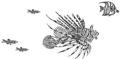 Иллюстрация к книге — Смерть заберет нас в один день [book-illustration-7.webp]