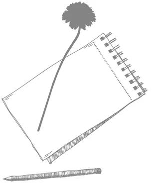 Иллюстрация к книге — За год до смерти я встретил тебя [book-illustration-23.webp]