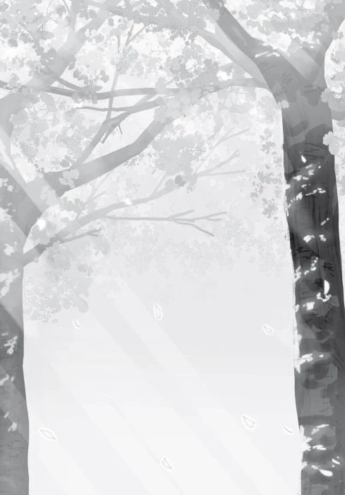 Иллюстрация к книге — Цветы, которые мы увидели сквозь слёзы [book-illustration-31.webp]