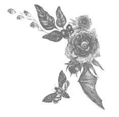 Иллюстрация к книге — Побеждая смерть. Livor Mortis [book-illustration-17.webp]