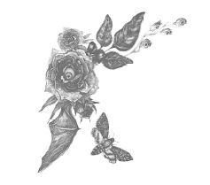 Иллюстрация к книге — Побеждая смерть. Livor Mortis [book-illustration-2.webp]