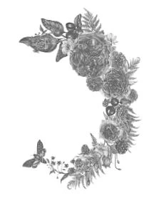 Иллюстрация к книге — Побеждая смерть. Livor Mortis [book-illustration-5.webp]