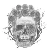 Иллюстрация к книге — Побеждая смерть. Livor Mortis [book-illustration-7.webp]