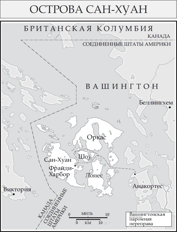 Иллюстрация к книге — Медведь [book-illustration-2.webp]