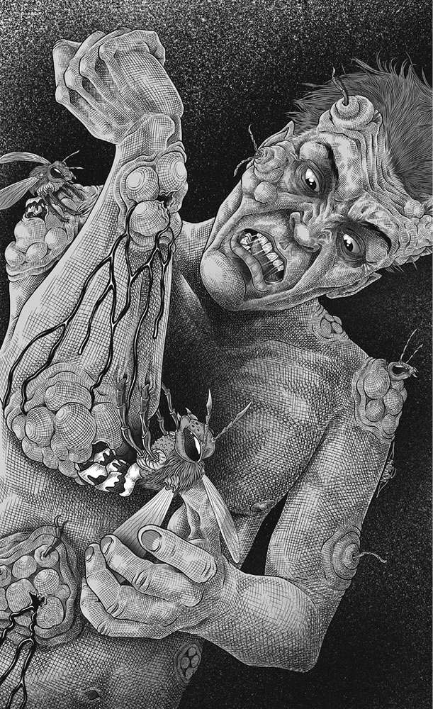 Иллюстрация к книге — Глубина [book-illustration-16.webp]