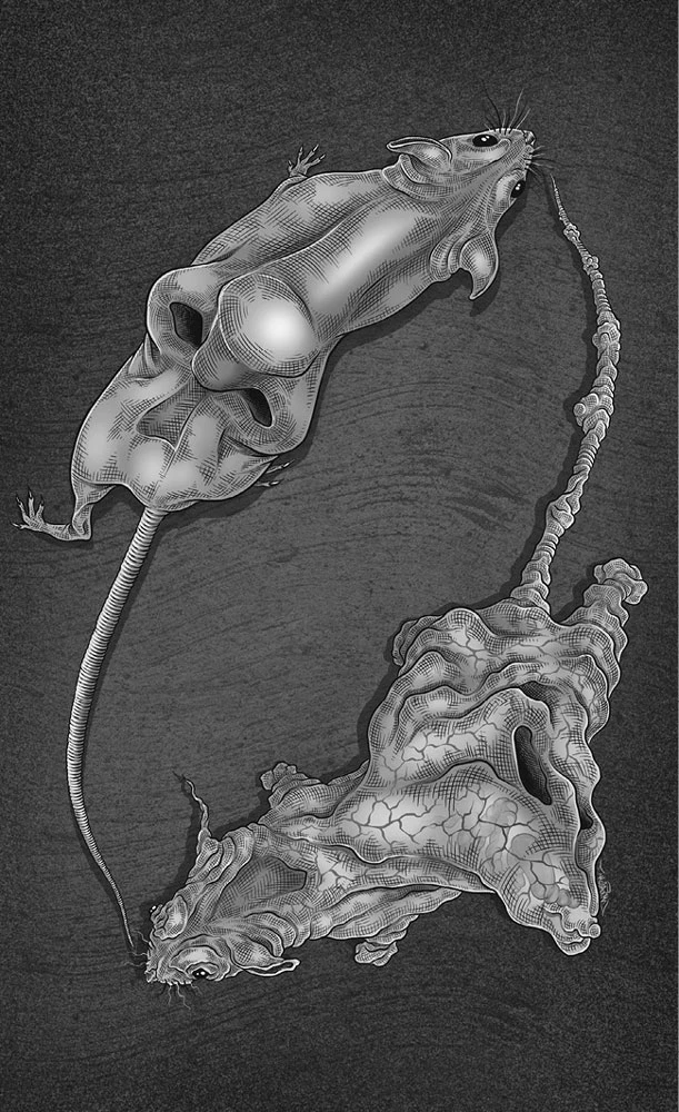 Иллюстрация к книге — Глубина [book-illustration-3.webp]