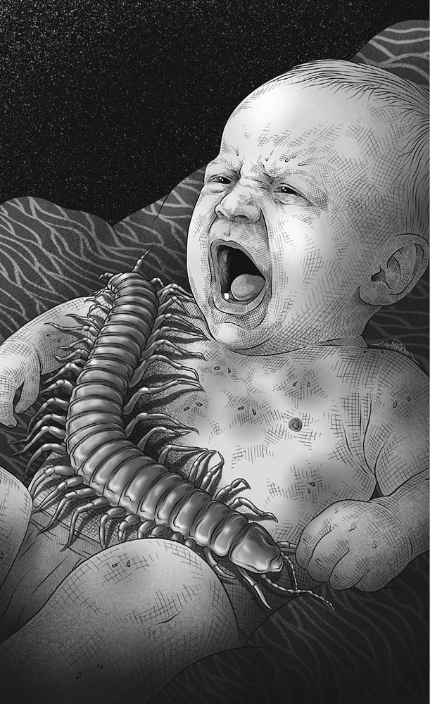 Иллюстрация к книге — Глубина [book-illustration-9.webp]