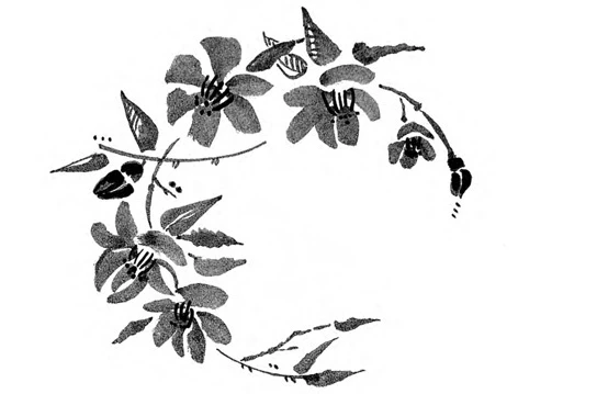 Иллюстрация к книге — Когда отцветает камелия [book-illustration-14.webp]