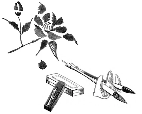 Иллюстрация к книге — Когда отцветает камелия [book-illustration-16.webp]