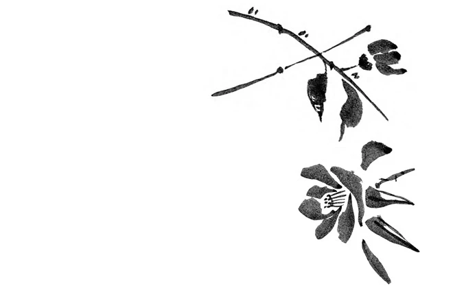 Иллюстрация к книге — Когда отцветает камелия [book-illustration-18.webp]