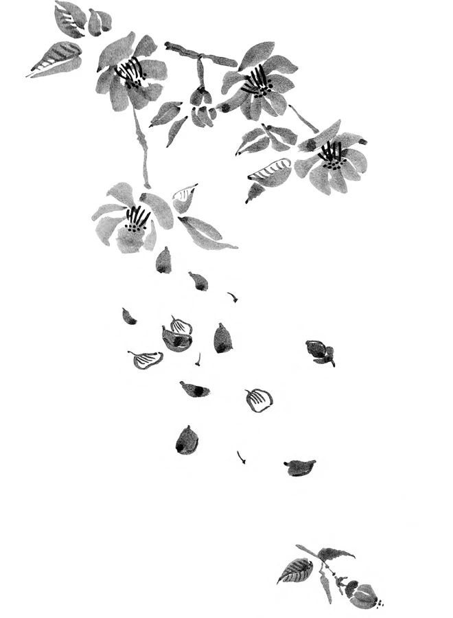 Иллюстрация к книге — Когда отцветает камелия [book-illustration-19.webp]