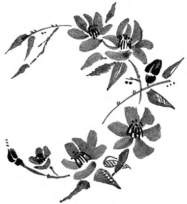 Иллюстрация к книге — Когда отцветает камелия [book-illustration-24.webp]