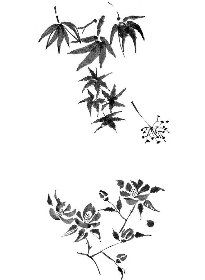 Иллюстрация к книге — Когда отцветает камелия [book-illustration-37.webp]