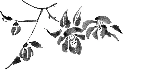 Иллюстрация к книге — Когда отцветает камелия [book-illustration-53.webp]