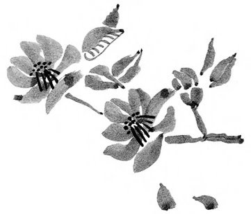 Иллюстрация к книге — Когда отцветает камелия [book-illustration-57.webp]