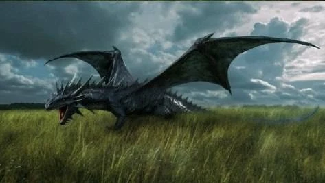 Иллюстрация к книге — Отбор по принуждению, или Одинокий дракон (не) желает знакомиться [book-illustration-24.webp]