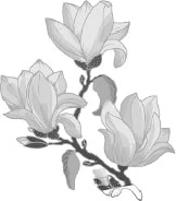 Иллюстрация к книге — Любовь, горькая и сладкая [book-illustration-1.webp]