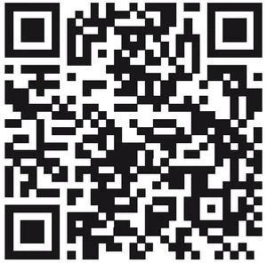 Иллюстрация к книге — Птица, влюбленная в клетку [book-illustration-6.webp]