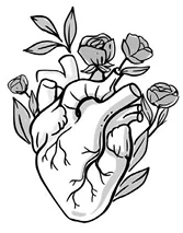 Иллюстрация к книге — Птица, лишенная голоса [book-illustration-30.webp]