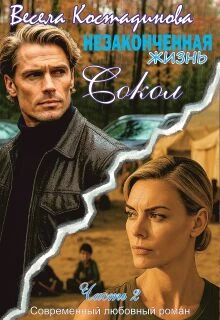 Книга Сокол