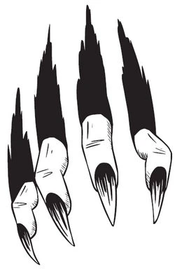 Иллюстрация к книге — Тьма по соседству [book-illustration-16.webp]