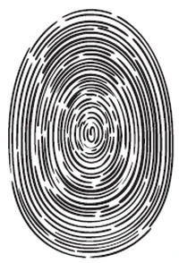 Иллюстрация к книге — Тьма по соседству [book-illustration-22.webp]