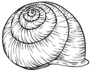 Иллюстрация к книге — Тьма по соседству [book-illustration-44.webp]