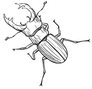 Иллюстрация к книге — Тьма по соседству [book-illustration-7.webp]