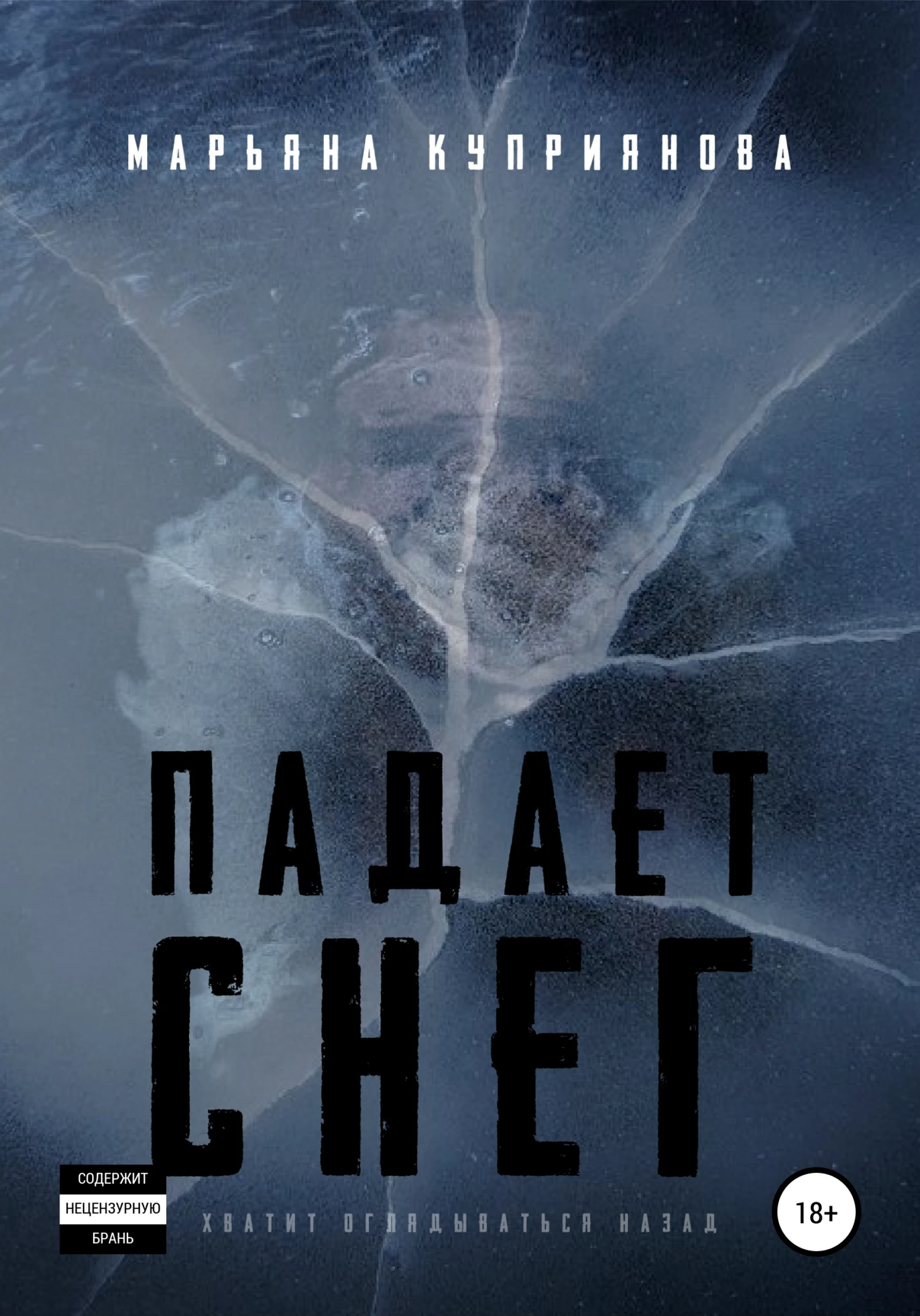 Книга Падает снег