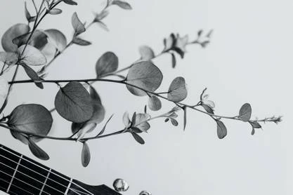 Иллюстрация к книге — Под тенью твоих чувств [book-illustration-1.webp]