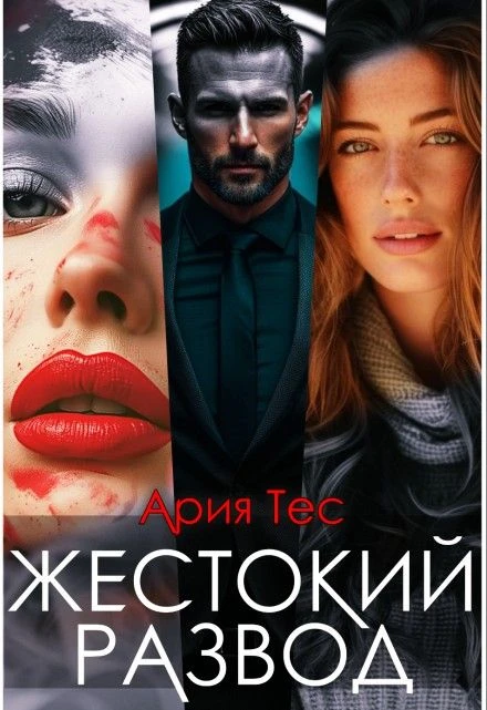 Книга Жестокий развод