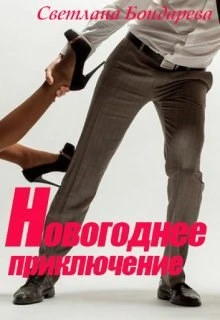 Книга Новогоднее приключение