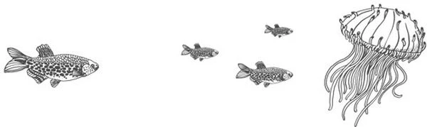 Иллюстрация к книге — Голос прибоя [book-illustration-16.webp]