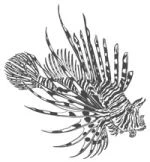 Иллюстрация к книге — Голос прибоя [book-illustration-18.webp]