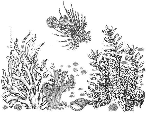 Иллюстрация к книге — Голос прибоя [book-illustration-32.webp]