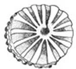 Иллюстрация к книге — Голос прибоя [book-illustration-35.webp]