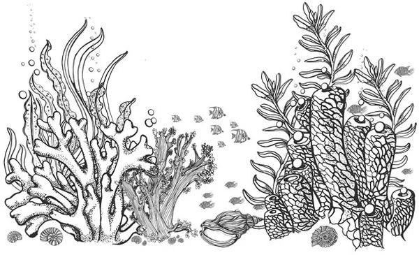 Иллюстрация к книге — Голос прибоя [book-illustration-46.webp]