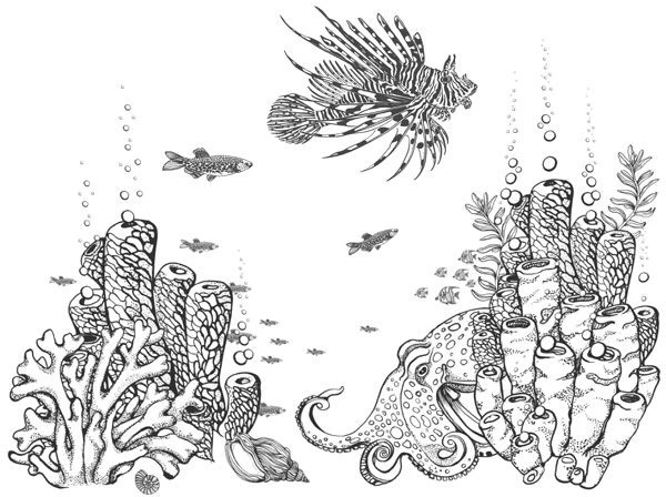 Иллюстрация к книге — Голос прибоя [book-illustration-47.webp]