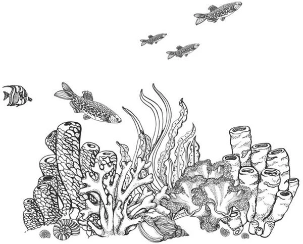 Иллюстрация к книге — Голос прибоя [book-illustration-6.webp]