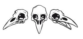 Иллюстрация к книге — Все оттенки ночи. Страшные и мистические истории из переулков [book-illustration-4.webp]