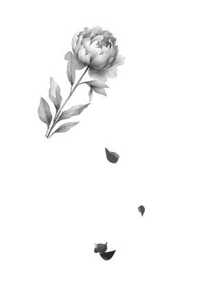 Иллюстрация к книге — Прекрасные дьяволы [book-illustration-1.webp]