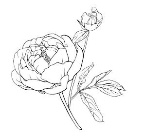 Иллюстрация к книге — Во власти выбора [book-illustration-1.webp]