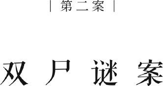 Иллюстрация к книге — Немая улика [book-illustration-3.webp]