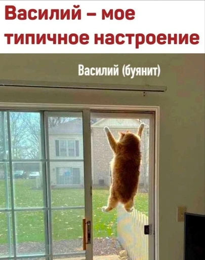 Иллюстрация к книге — Рыбки в синем аквариуме [book-illustration-1.webp]