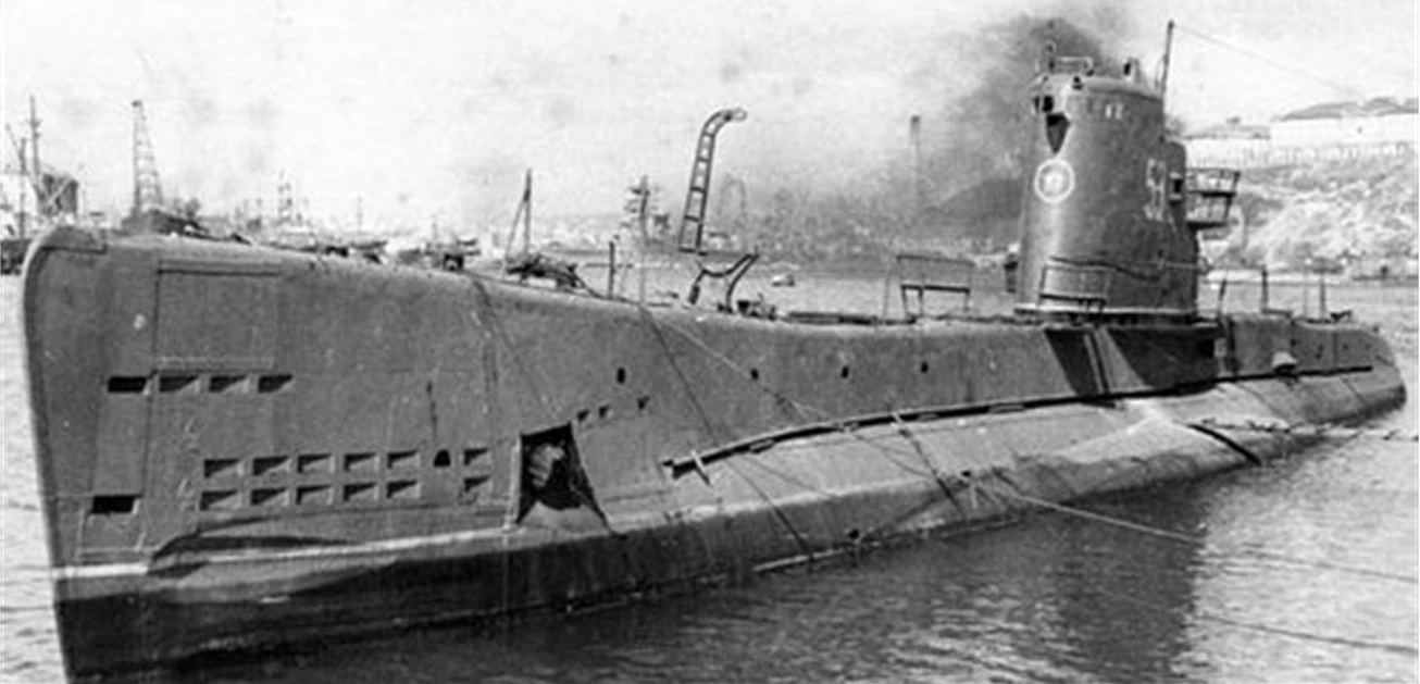 Иллюстрация к книге — Живые! Помните погибших моряков! Книга 1 [book-illustration-15.webp]